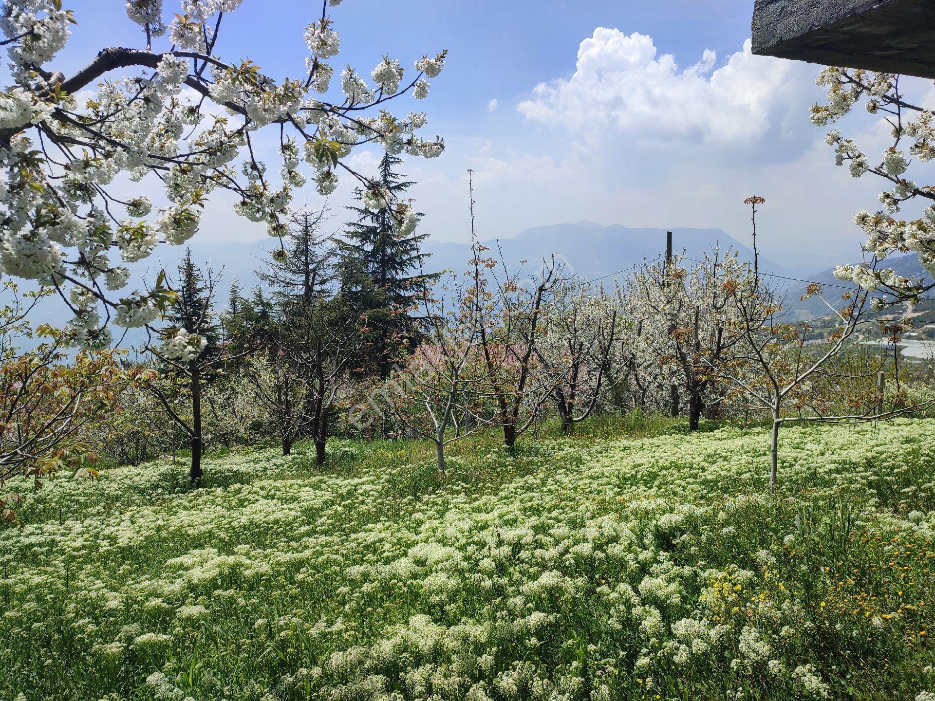 Tarsus Bögrüegri Mahallesinde Tek Tapulu 1611 M2 - Görsel 20