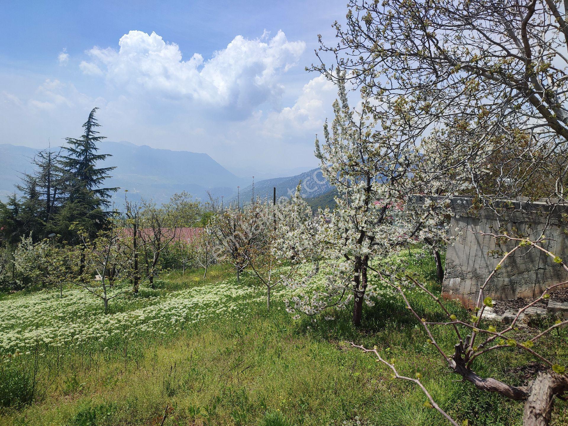 Tarsus Bögrüegri Mahallesinde Tek Tapulu 1611 M2 - Görsel 23