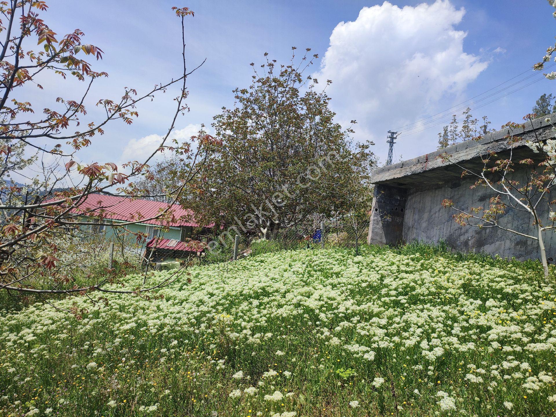 Tarsus Bögrüegri Mahallesinde Tek Tapulu 1611 M2 - Görsel 12