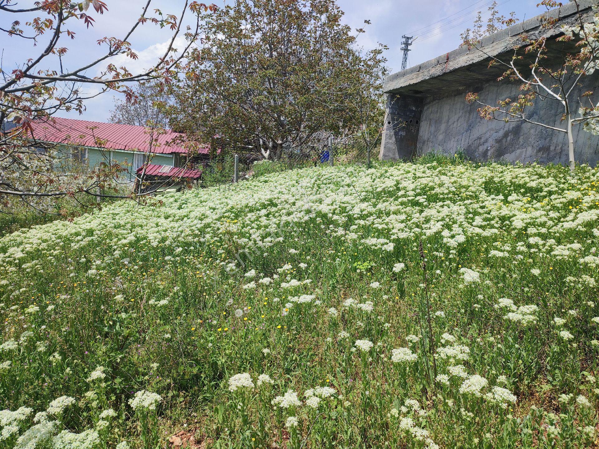 Tarsus Bögrüegri Mahallesinde Tek Tapulu 1611 M2 - Görsel 11