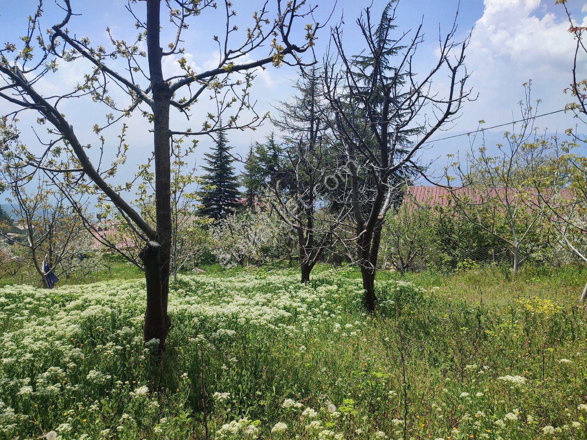 Tarsus Bögrüegri Mahallesinde Tek Tapulu 1611 M2 - Görsel 9