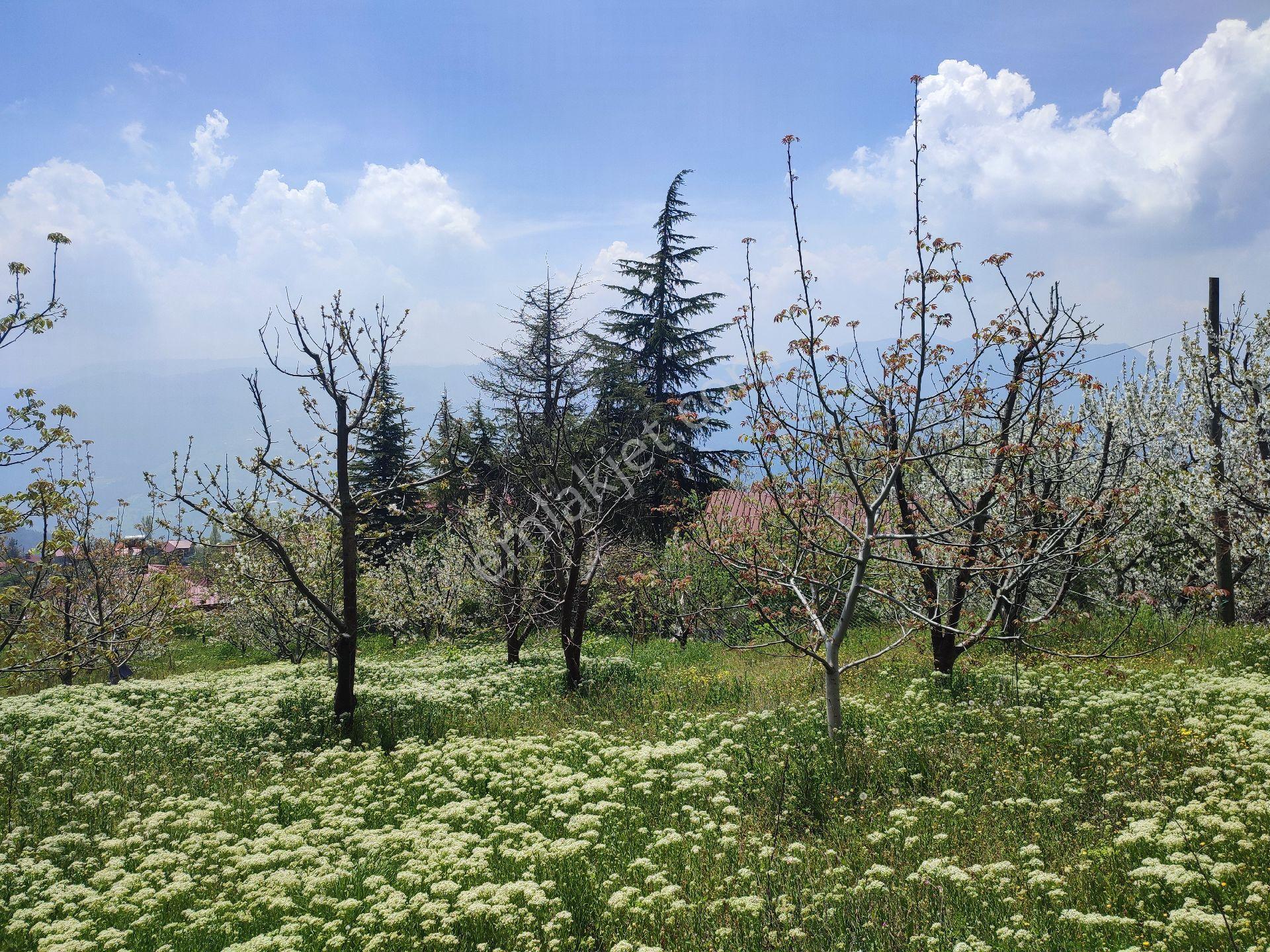 Tarsus Bögrüegri Mahallesinde Tek Tapulu 1611 M2 - Görsel 17