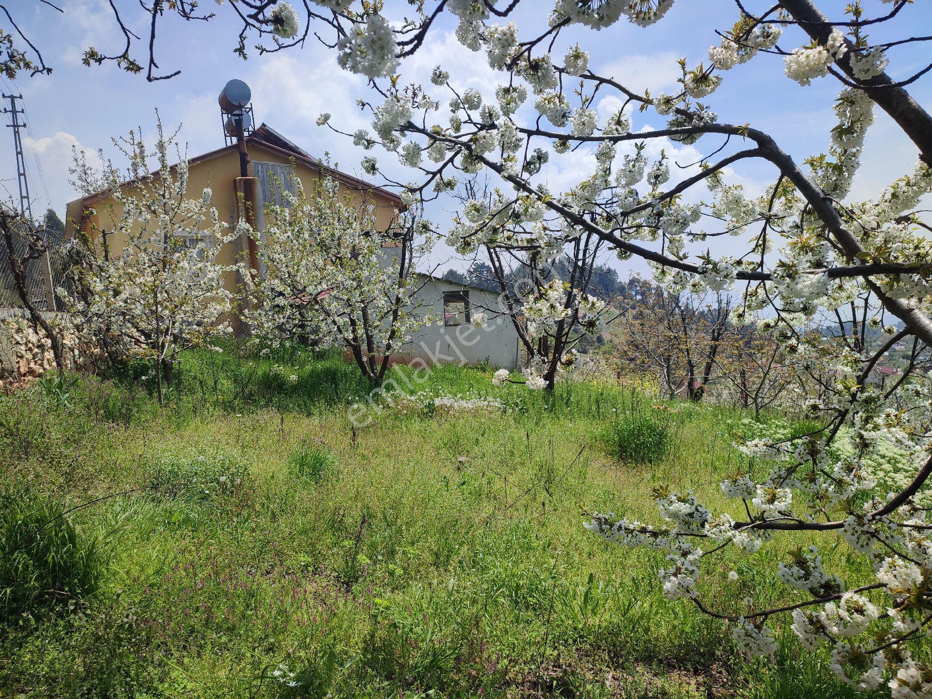 Tarsus Bögrüegri Mahallesinde Tek Tapulu 1611 M2 - Görsel 18
