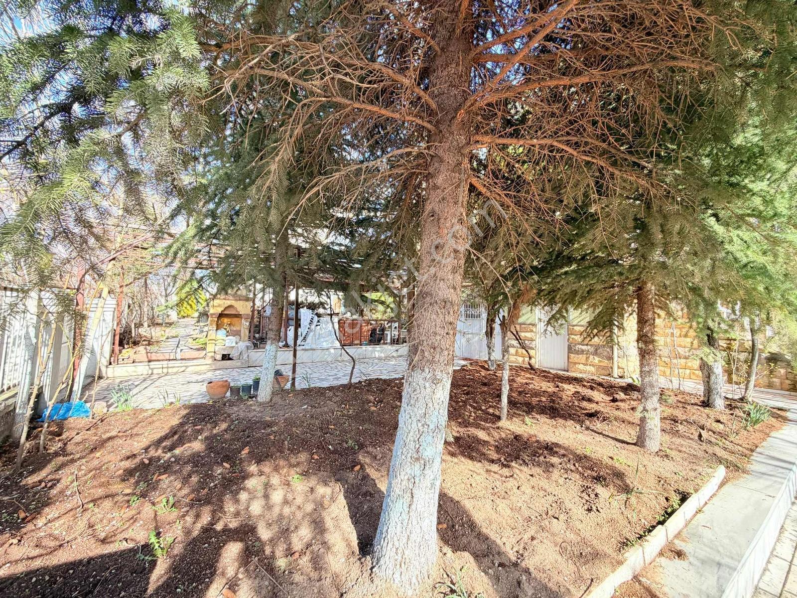 Toki Yolu Ana Cadde Üzerinde! 8 Odalı 3 Katlı Kiralık Villa - Görsel 23