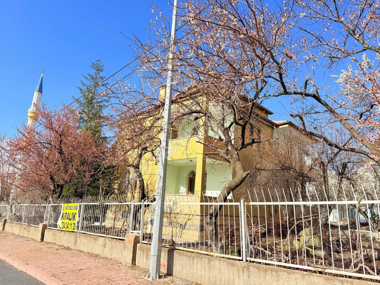 Toki Yolu Ana Cadde Üzerinde! 8 Odalı 3 Katlı Kiralık Villa - Görsel 12