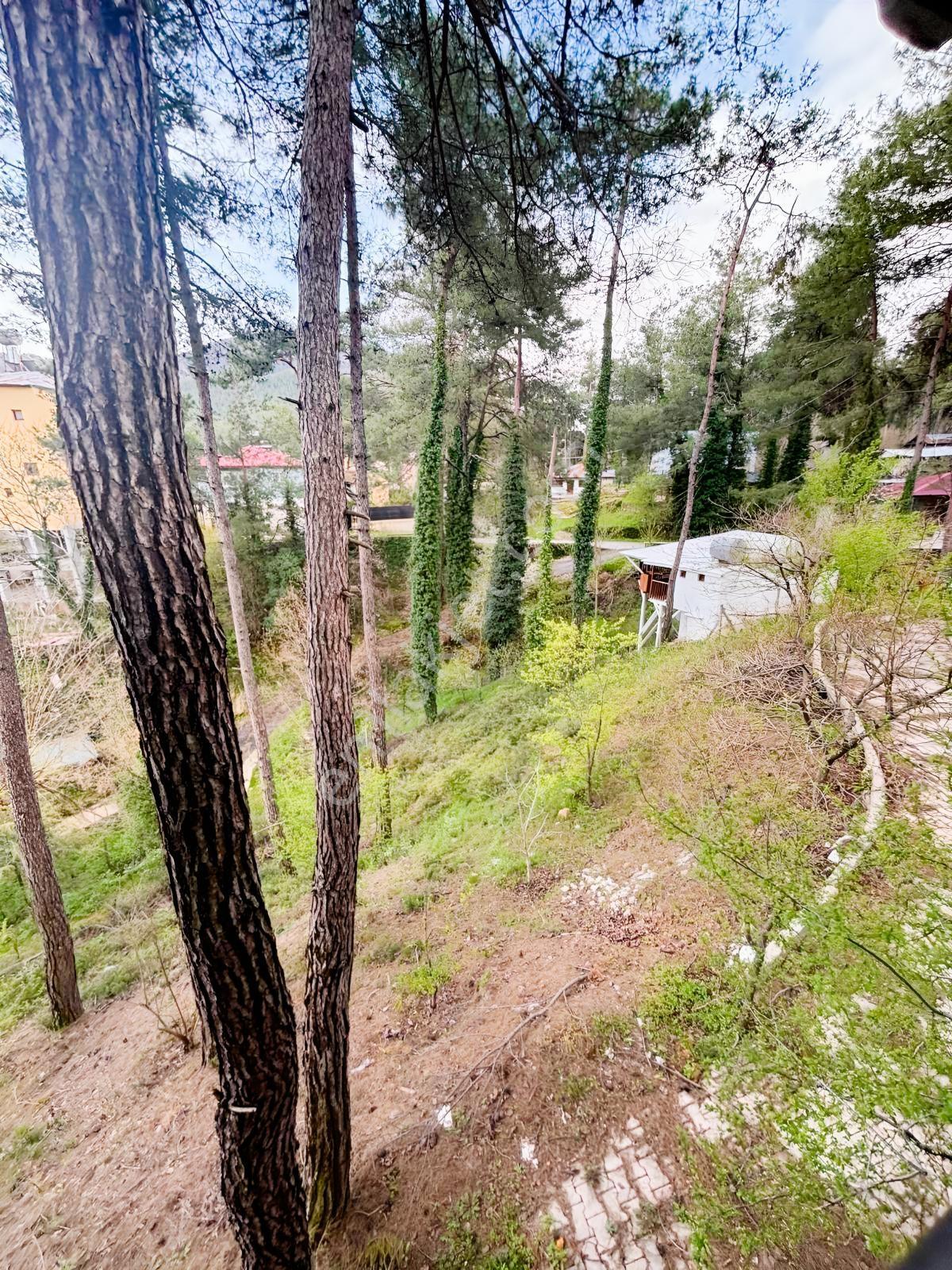 Kozan Gayrimenkuldn Horzumda Oturuma Hazır Geniş Arsalı Yaylalık - Görsel 28