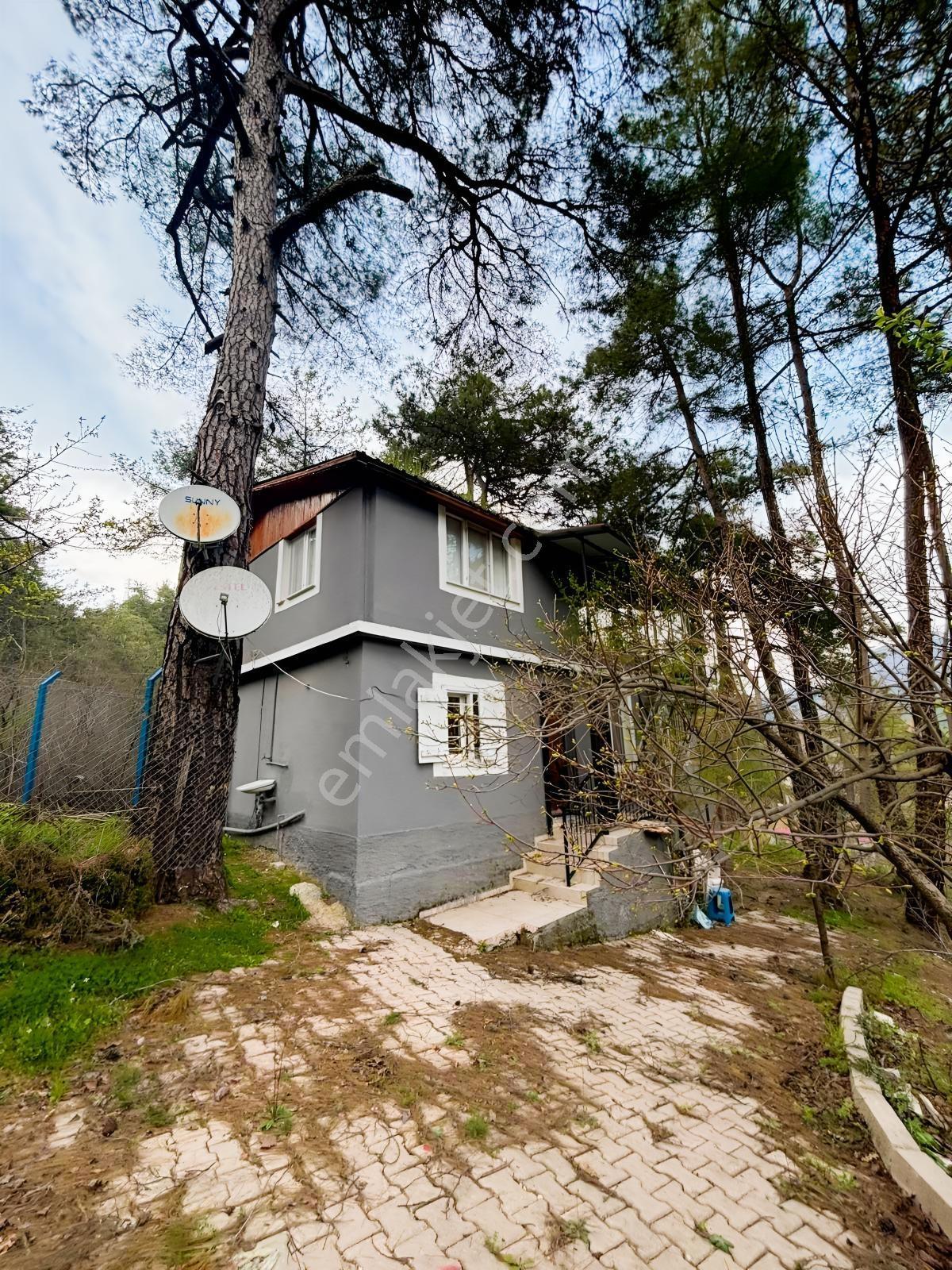 Kozan Gayrimenkuldn Horzumda Oturuma Hazır Geniş Arsalı Yaylalık - Görsel 32