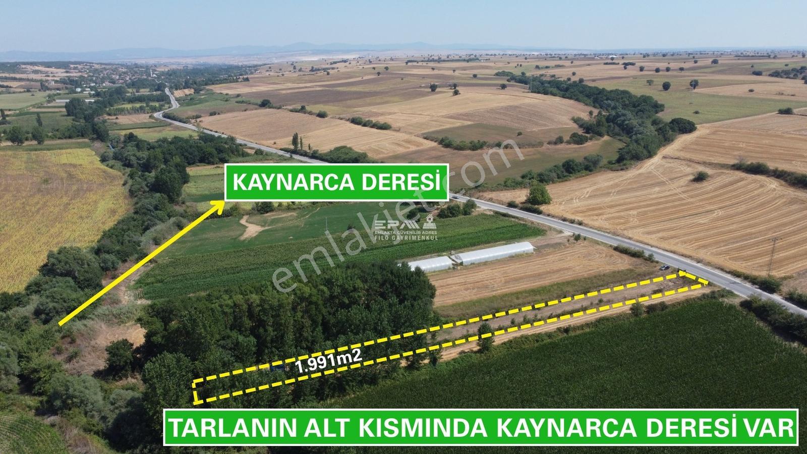 Pınarhisar Ataköy 1.991 M2 Müstakil Tapulu Anayola Cepheli Tarla