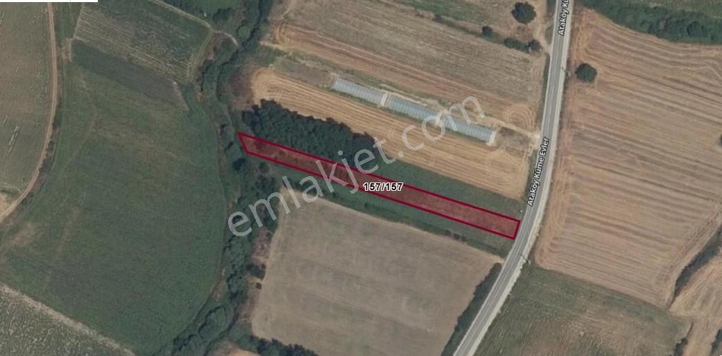 Pınarhisar Ataköy 1.991 M2 Müstakil Tapulu Anayola Cepheli Tarla - Görsel 33