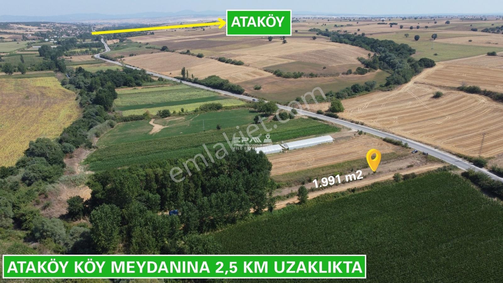 Pınarhisar Ataköy 1.991 M2 Müstakil Tapulu Anayola Cepheli Tarla - Görsel 9