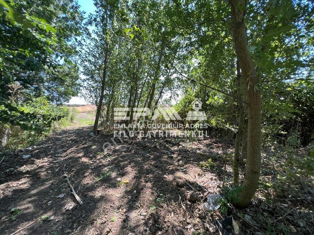 Pınarhisar Ataköy 1.991 M2 Müstakil Tapulu Anayola Cepheli Tarla - Görsel 8