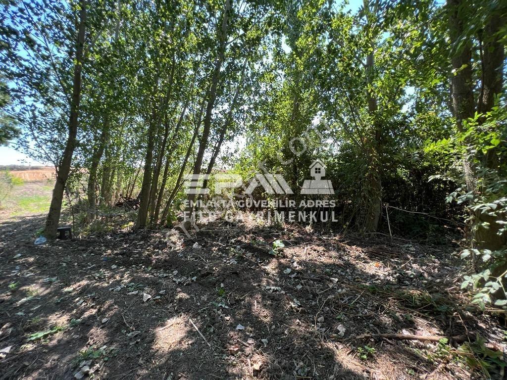 Pınarhisar Ataköy 1.991 M2 Müstakil Tapulu Anayola Cepheli Tarla - Görsel 26