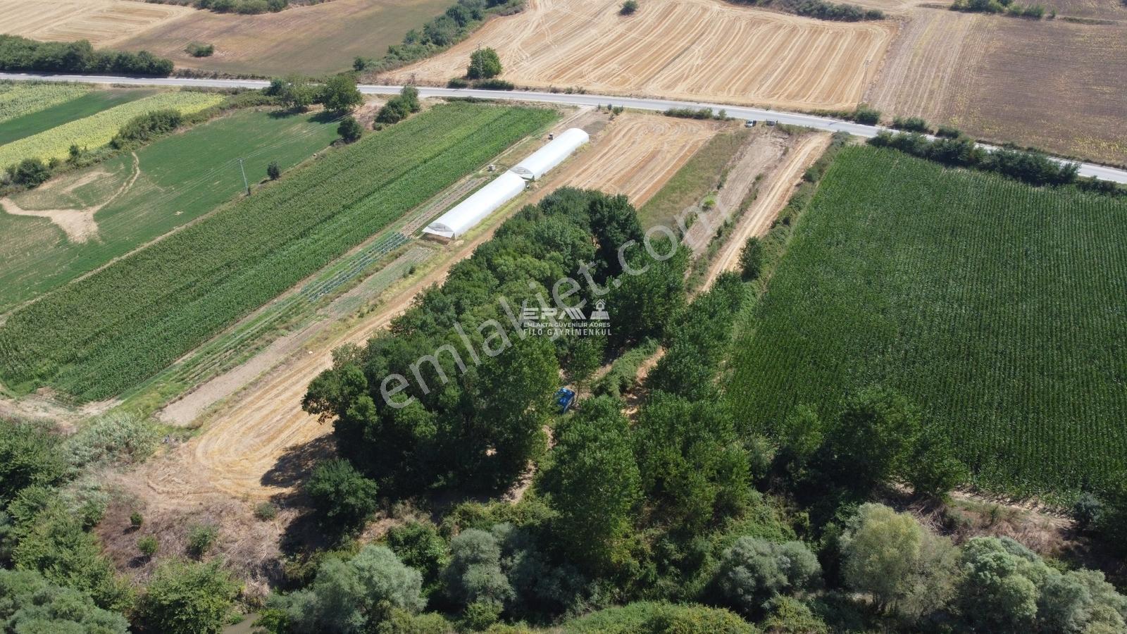 Pınarhisar Ataköy 1.991 M2 Müstakil Tapulu Anayola Cepheli Tarla - Görsel 30