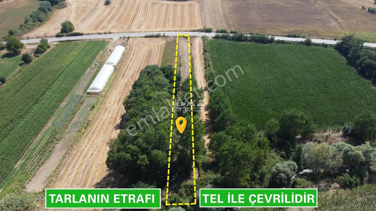 Pınarhisar Ataköy 1.991 M2 Müstakil Tapulu Anayola Cepheli Tarla - Görsel 10