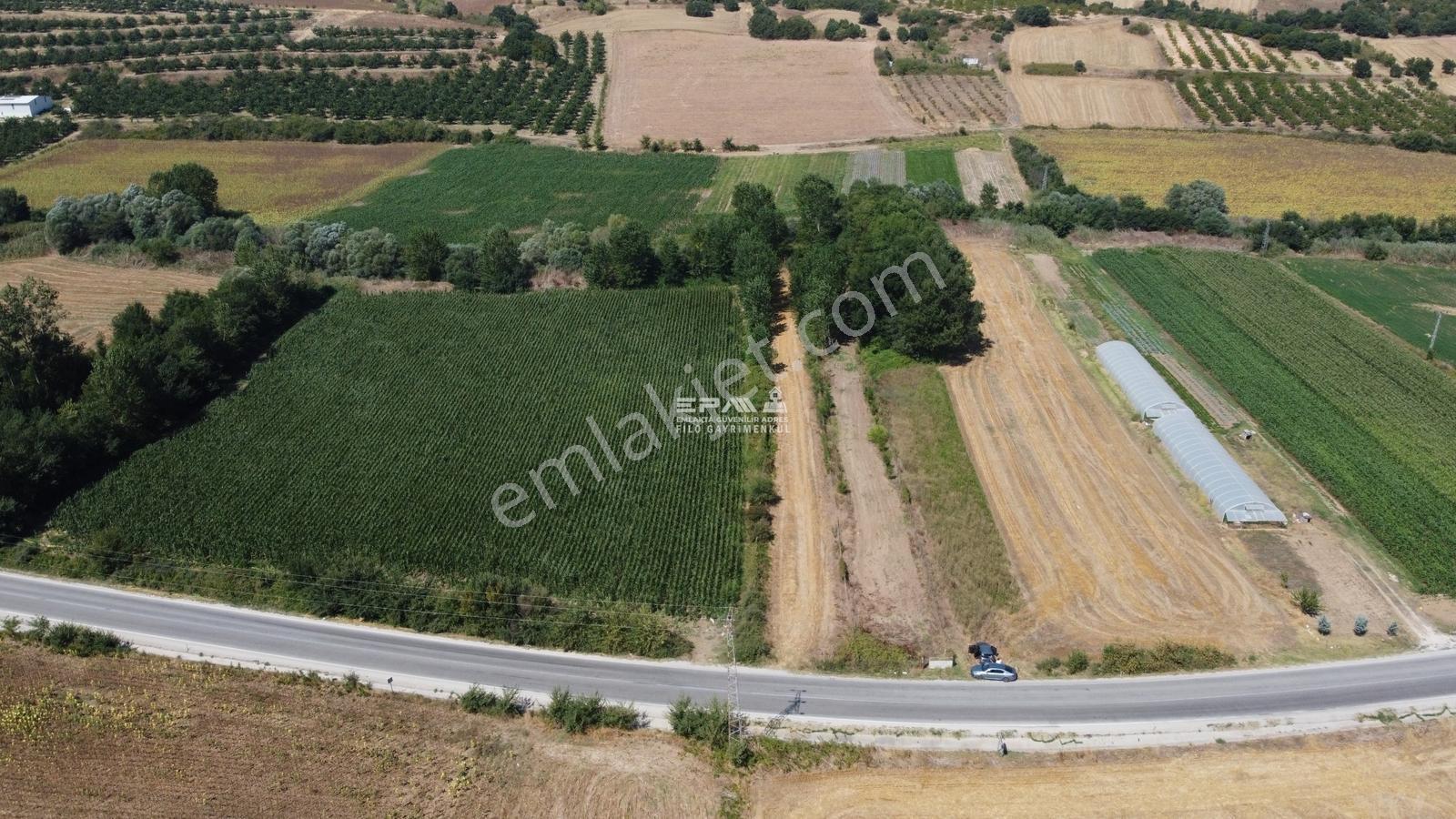 Pınarhisar Ataköy 1.991 M2 Müstakil Tapulu Anayola Cepheli Tarla - Görsel 28