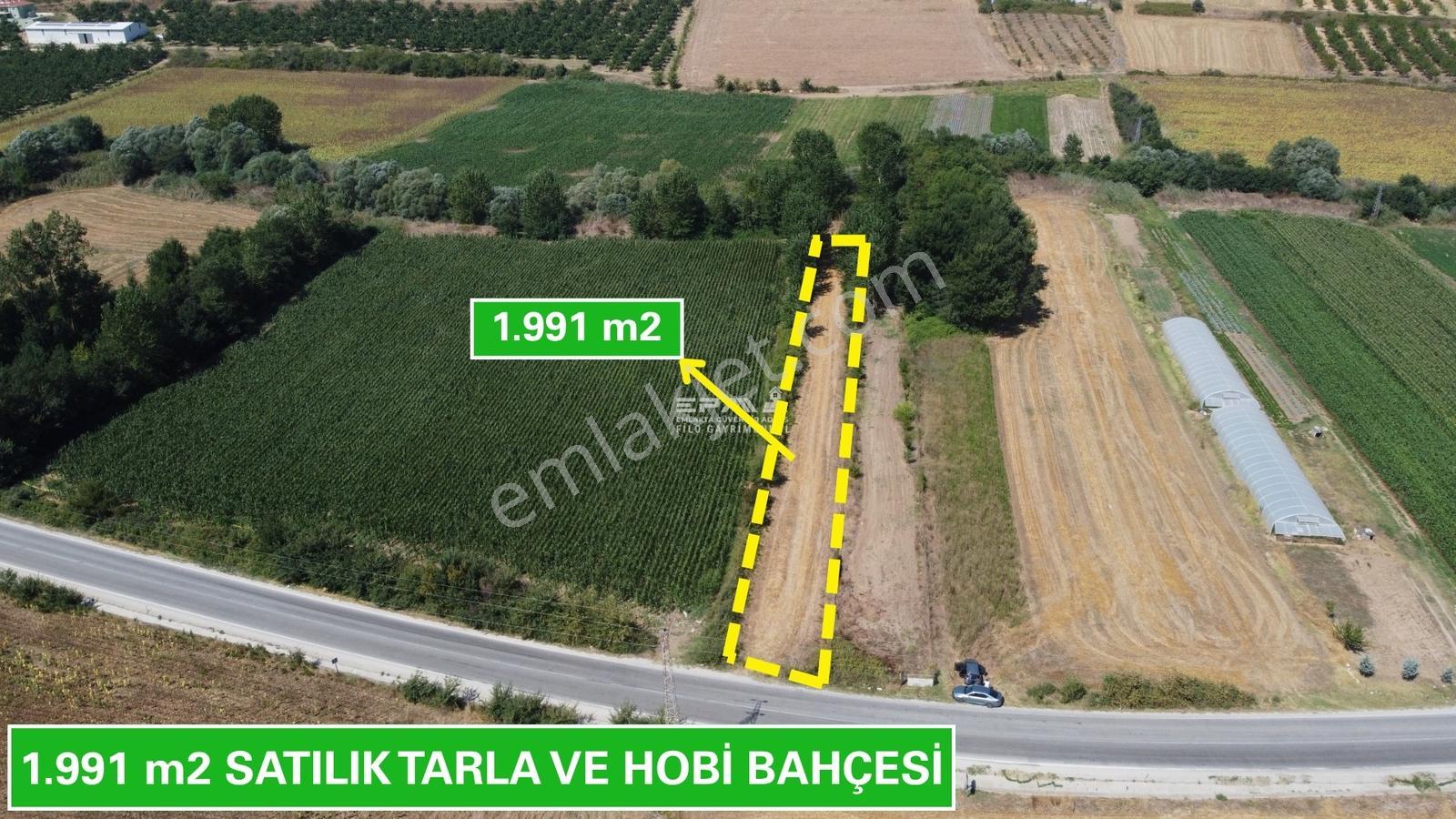 Pınarhisar Ataköy 1.991 M2 Müstakil Tapulu Anayola Cepheli Tarla - Görsel 16
