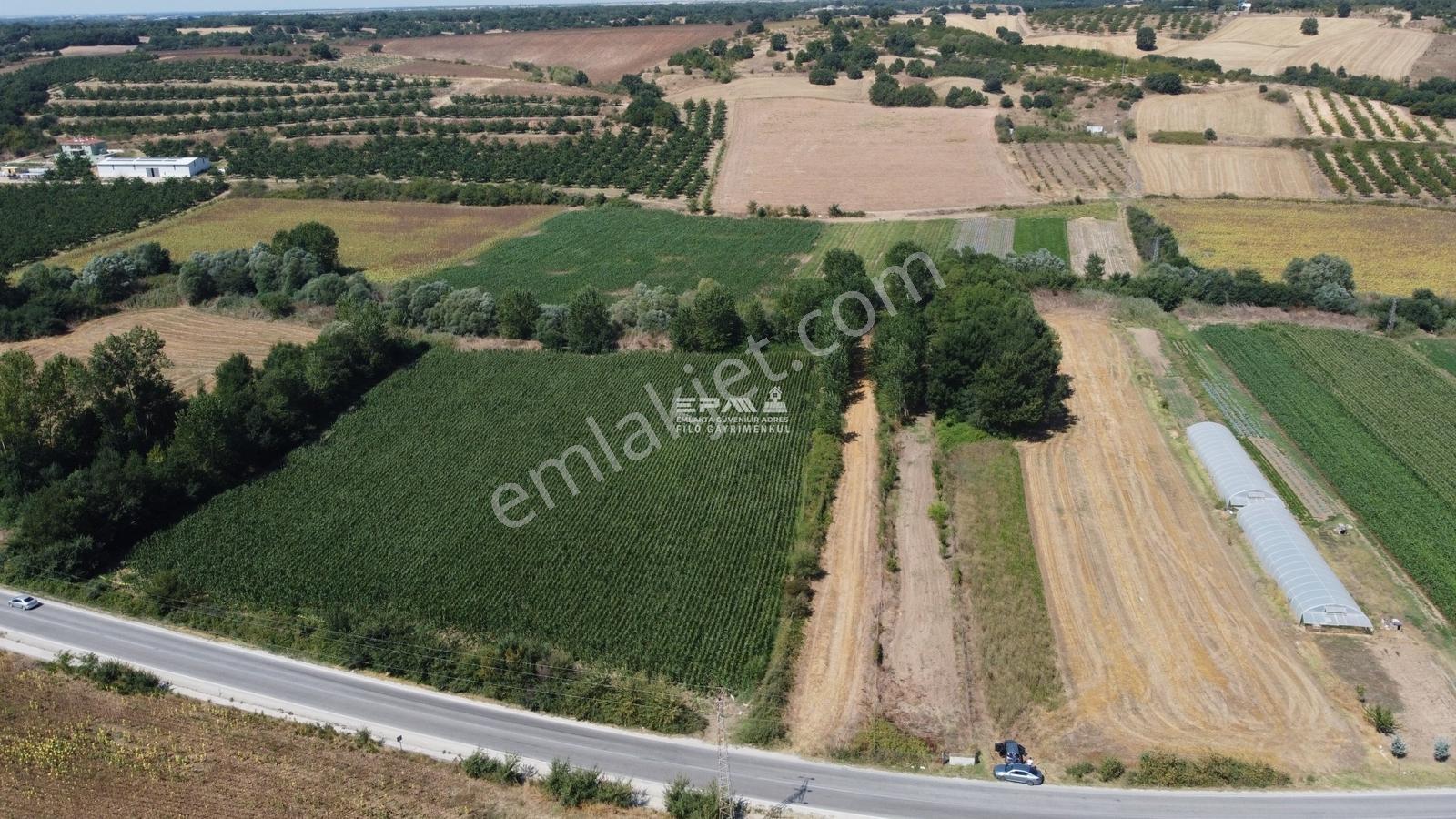 Pınarhisar Ataköy 1.991 M2 Müstakil Tapulu Anayola Cepheli Tarla - Görsel 21