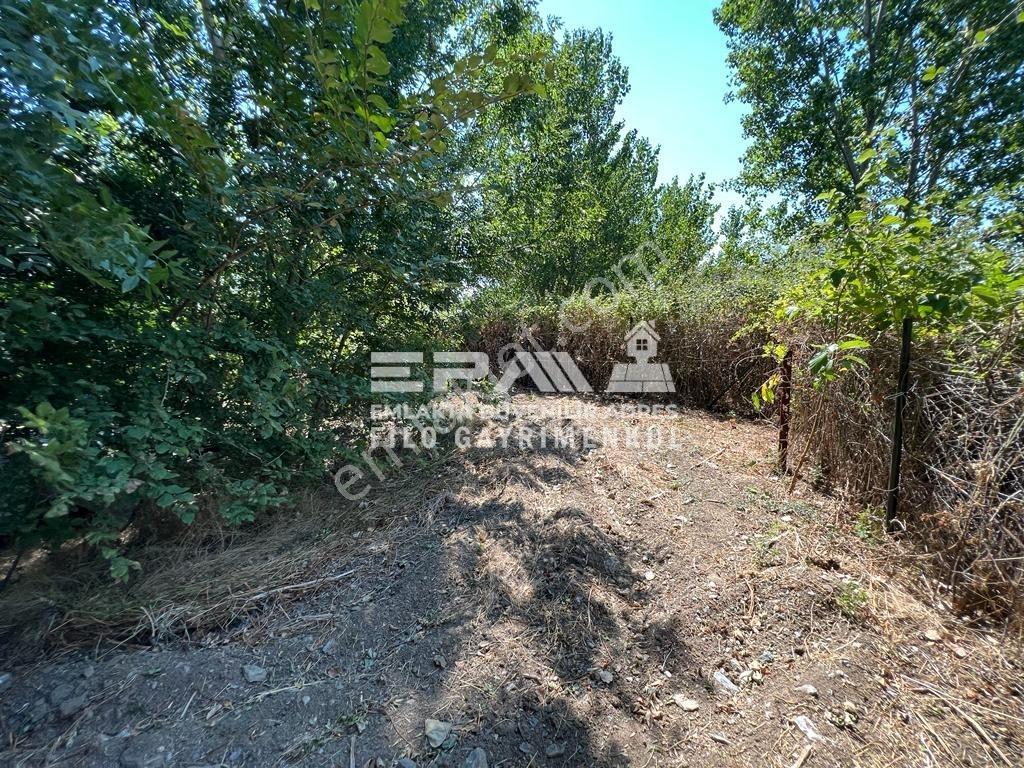 Pınarhisar Ataköy 1.991 M2 Müstakil Tapulu Anayola Cepheli Tarla - Görsel 17