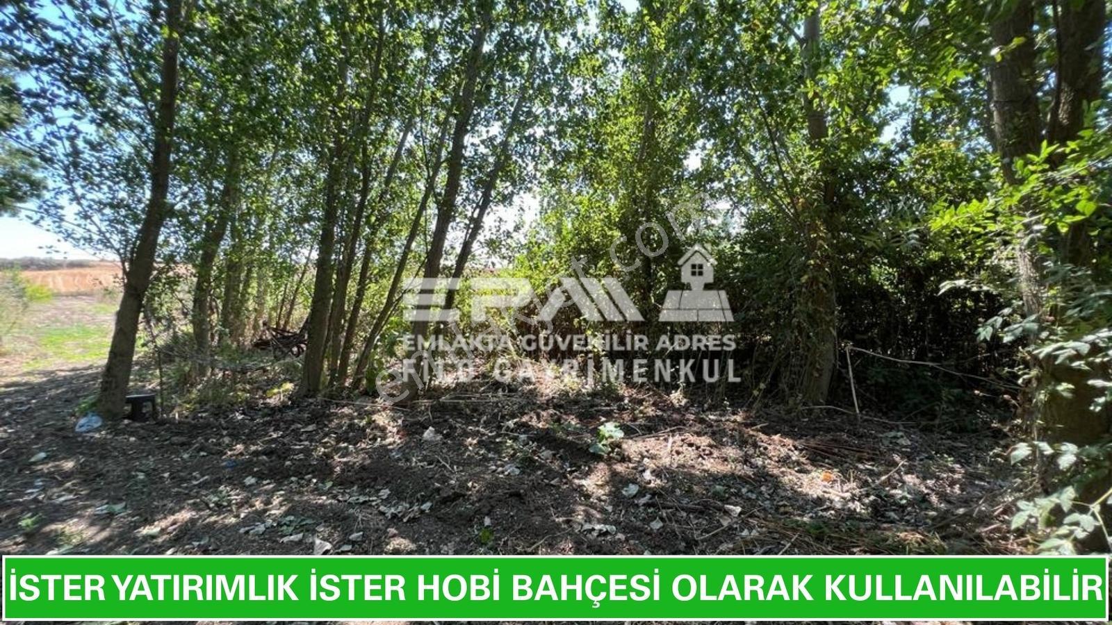 Pınarhisar Ataköy 1.991 M2 Müstakil Tapulu Anayola Cepheli Tarla - Görsel 14