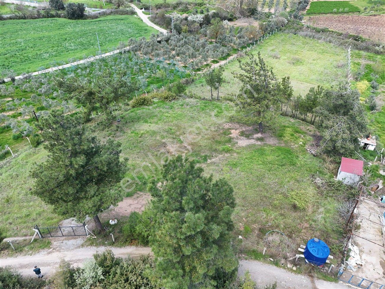 Menderes Turyap'tan Yeniköy'de 5000m² Satılık Tek Tapu Tarla - Görsel 8