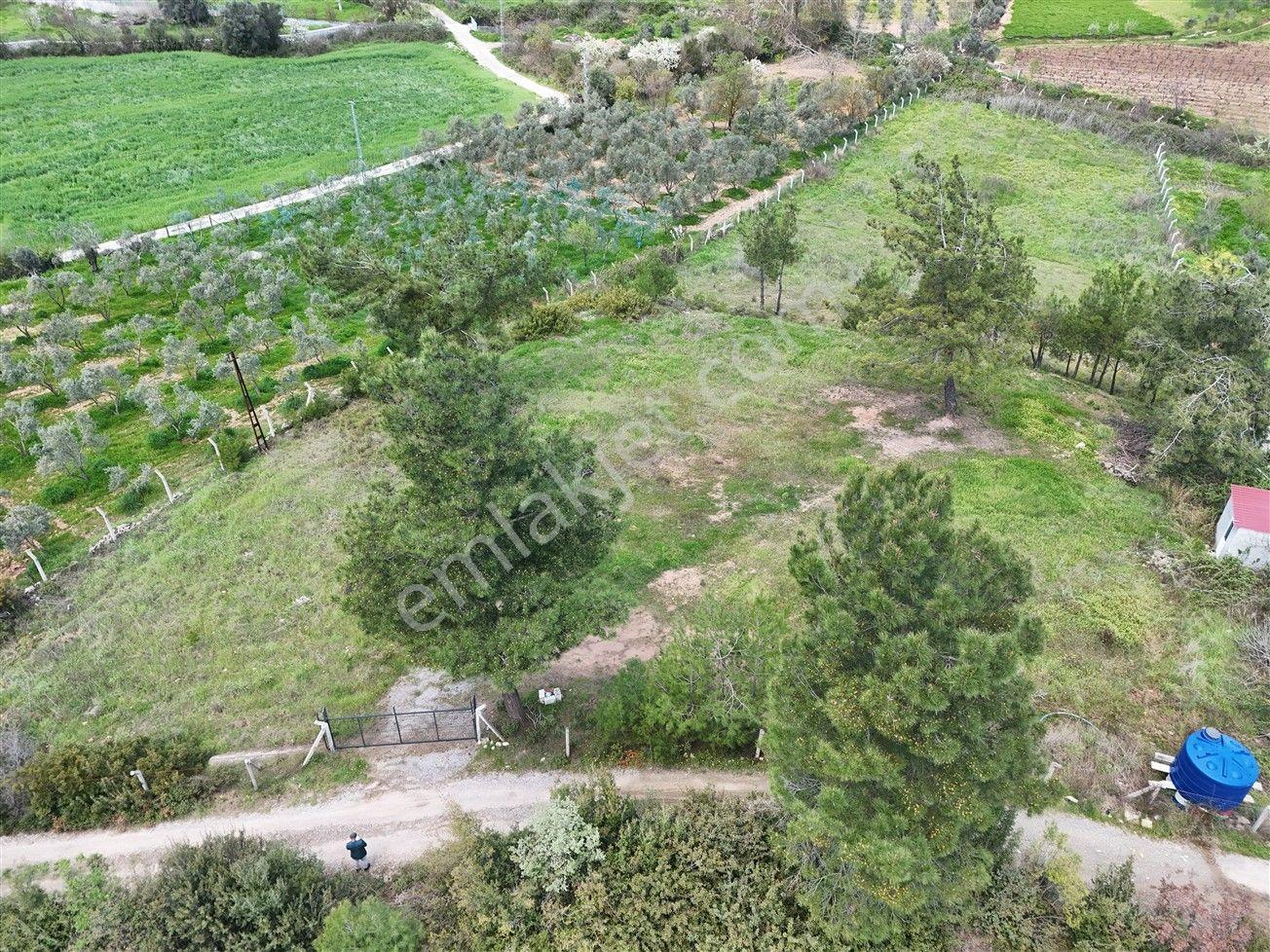 Menderes Turyap'tan Yeniköy'de 5000m² Satılık Tek Tapu Tarla - Görsel 4