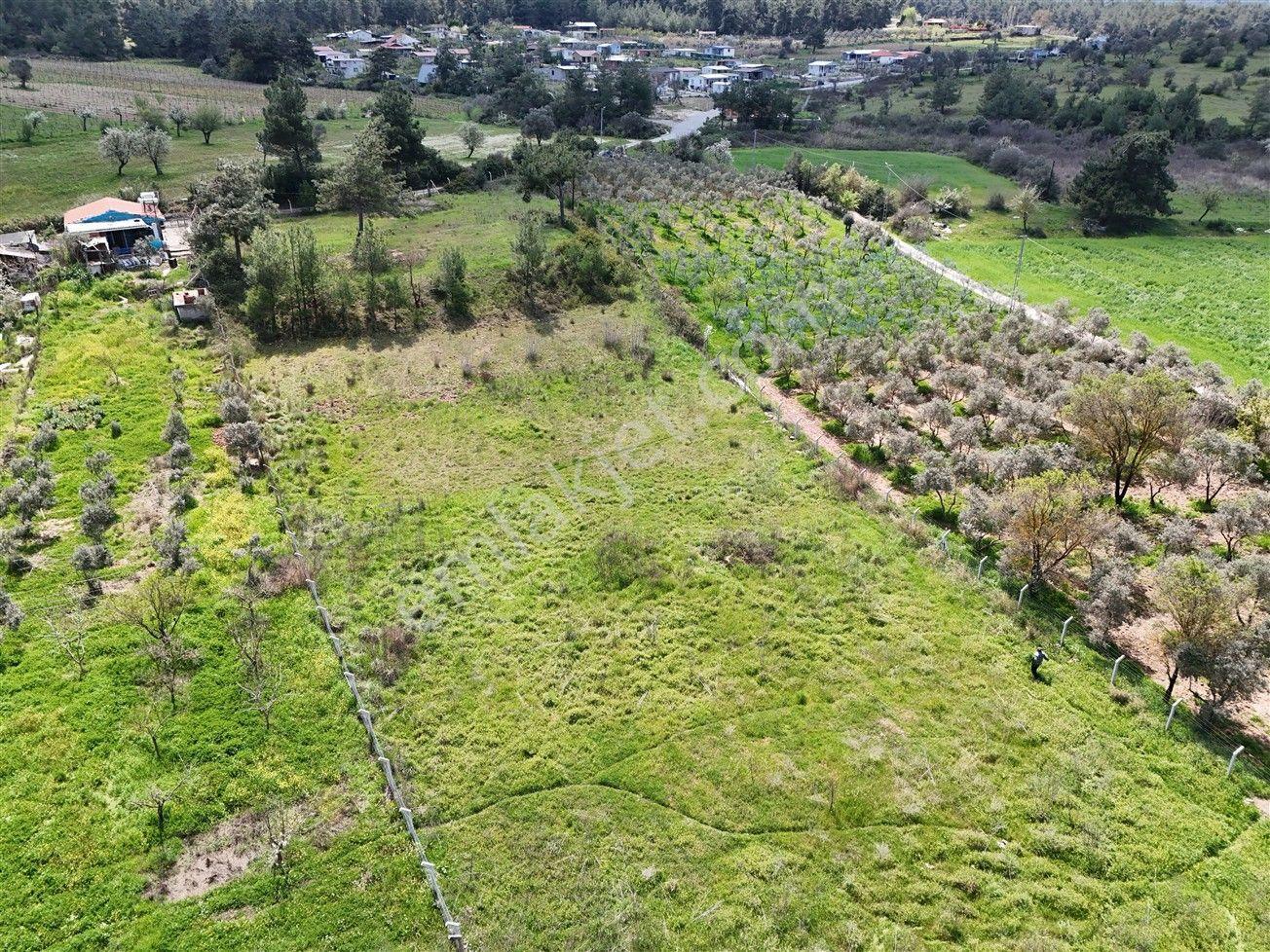 Menderes Turyap'tan Yeniköy'de 5000m² Satılık Tek Tapu Tarla - Görsel 29