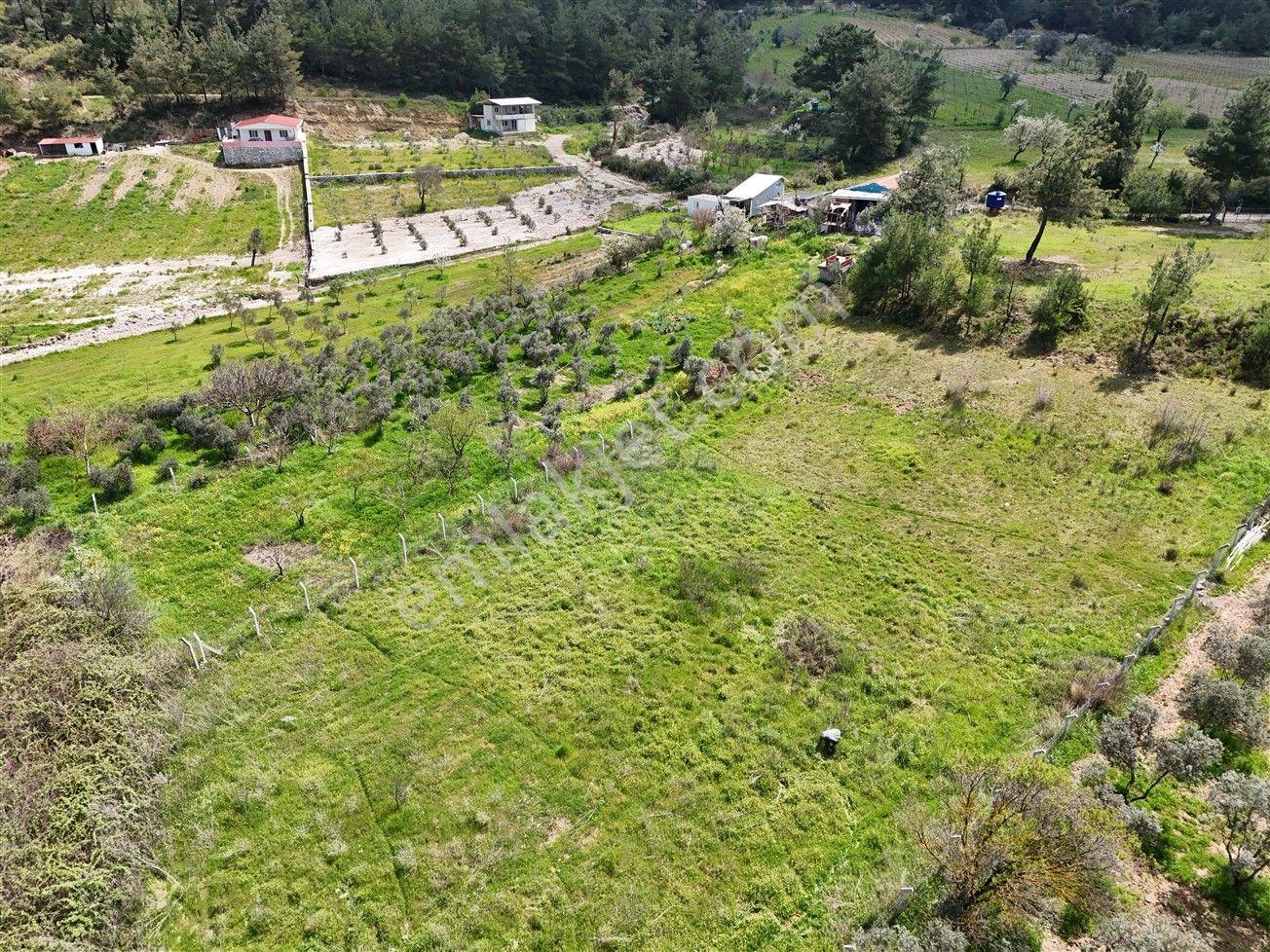 Menderes Turyap'tan Yeniköy'de 5000m² Satılık Tek Tapu Tarla - Görsel 21