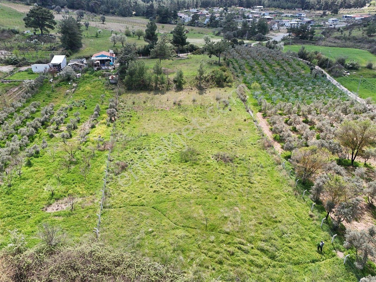 Menderes Turyap'tan Yeniköy'de 5000m² Satılık Tek Tapu Tarla - Görsel 28