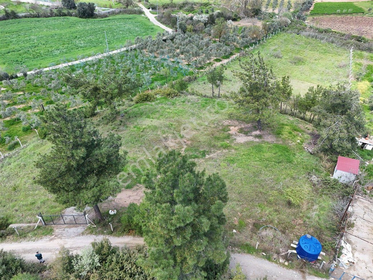 Menderes Turyap'tan Yeniköy'de 5000m² Satılık Tek Tapu Tarla - Görsel 7