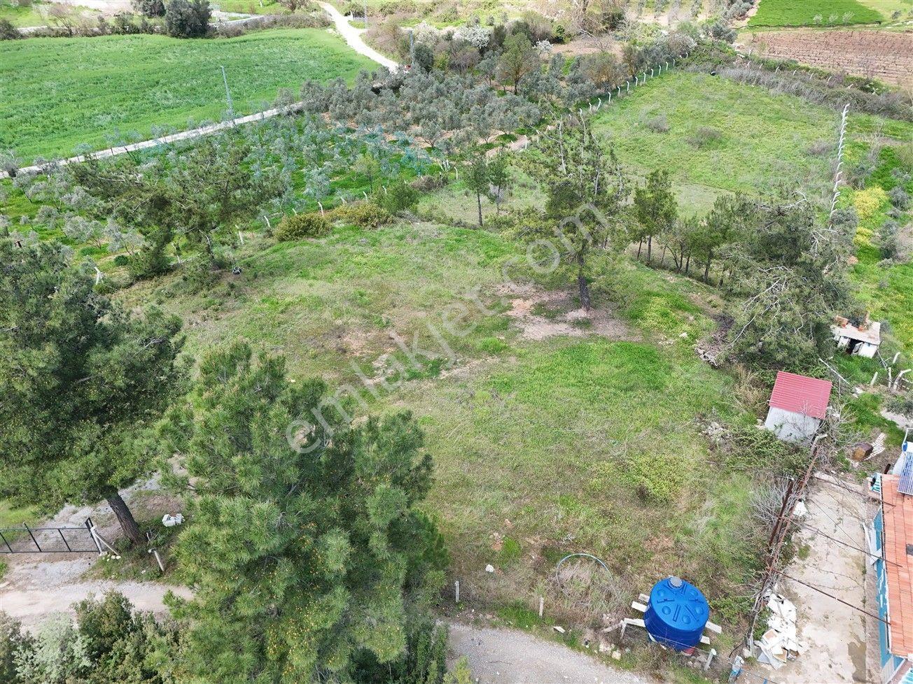 Menderes Turyap'tan Yeniköy'de 5000m² Satılık Tek Tapu Tarla - Görsel 10