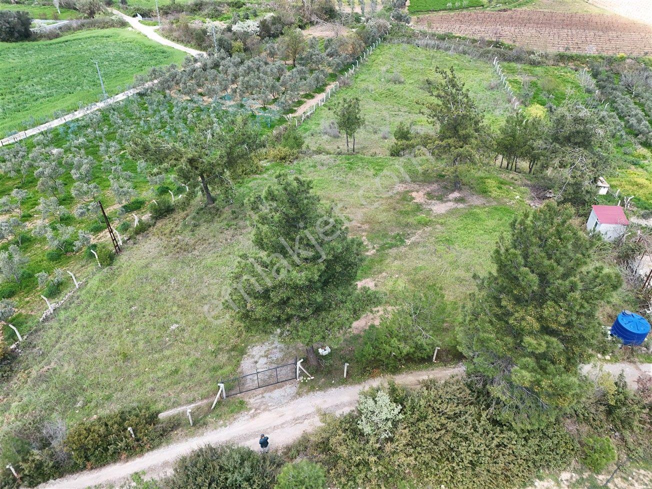 Menderes Turyap'tan Yeniköy'de 5000m² Satılık Tek Tapu Tarla - Görsel 3