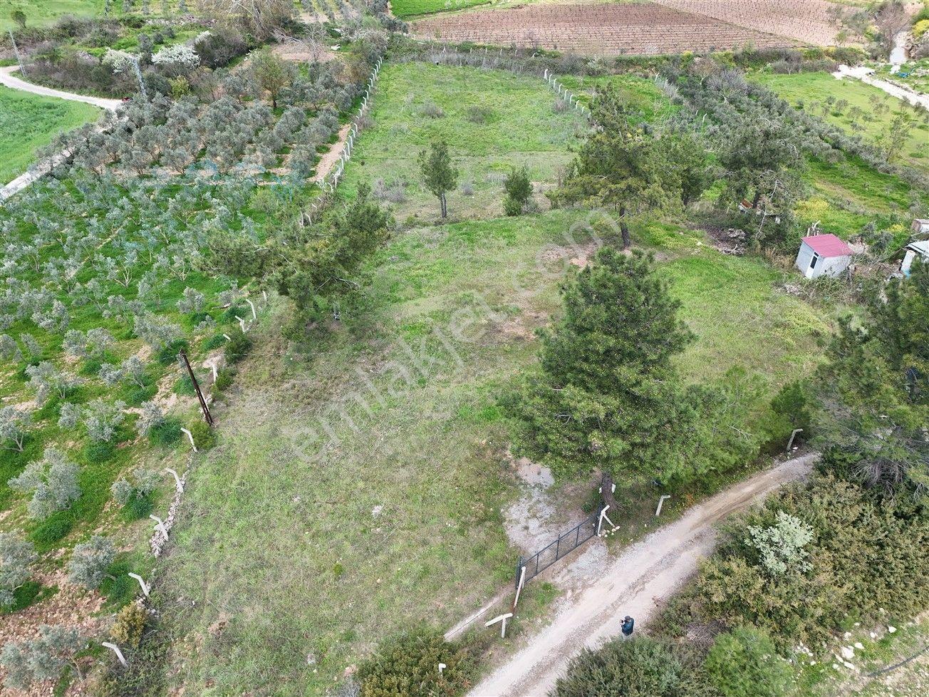 Menderes Turyap'tan Yeniköy'de 5000m² Satılık Tek Tapu Tarla - Görsel 25