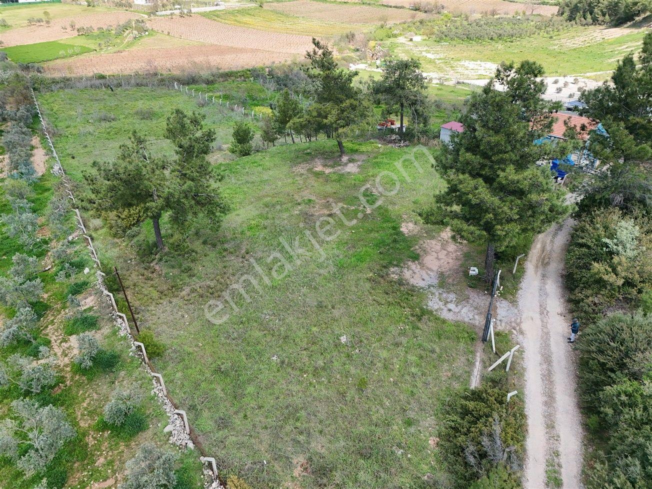 Menderes Turyap'tan Yeniköy'de 5000m² Satılık Tek Tapu Tarla - Görsel 31
