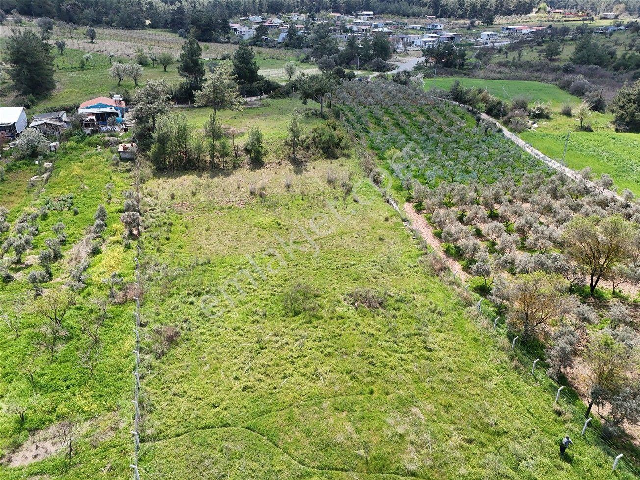 Menderes Turyap'tan Yeniköy'de 5000m² Satılık Tek Tapu Tarla - Görsel 16