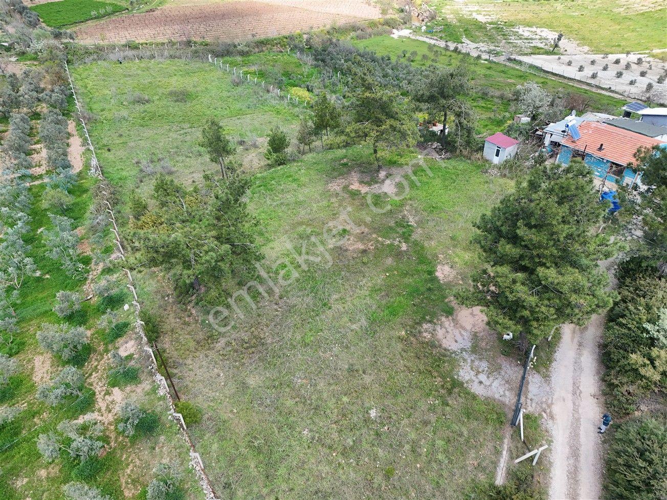 Menderes Turyap'tan Yeniköy'de 5000m² Satılık Tek Tapu Tarla - Görsel 23