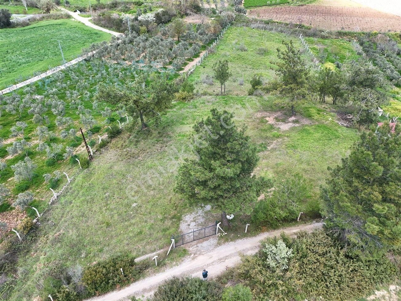 Menderes Turyap'tan Yeniköy'de 5000m² Satılık Tek Tapu Tarla - Görsel 9