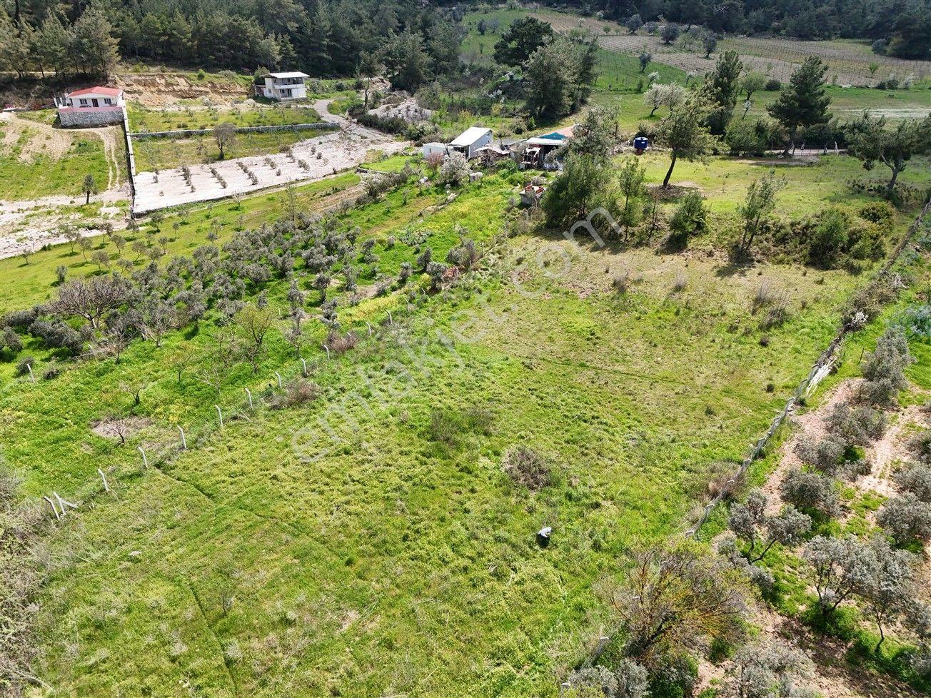 Menderes Turyap'tan Yeniköy'de 5000m² Satılık Tek Tapu Tarla - Görsel 22