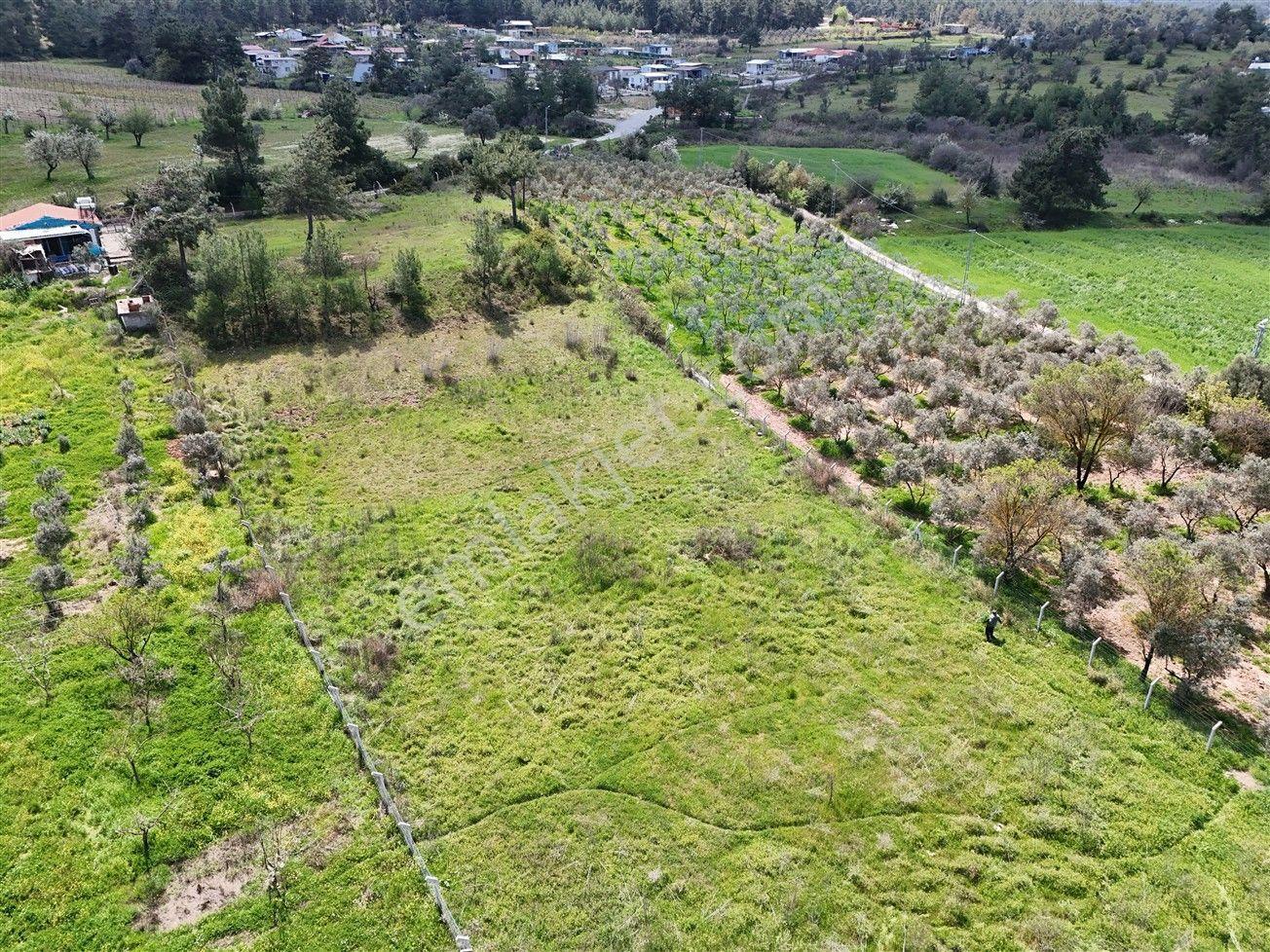 Menderes Turyap'tan Yeniköy'de 5000m² Satılık Tek Tapu Tarla - Görsel 12