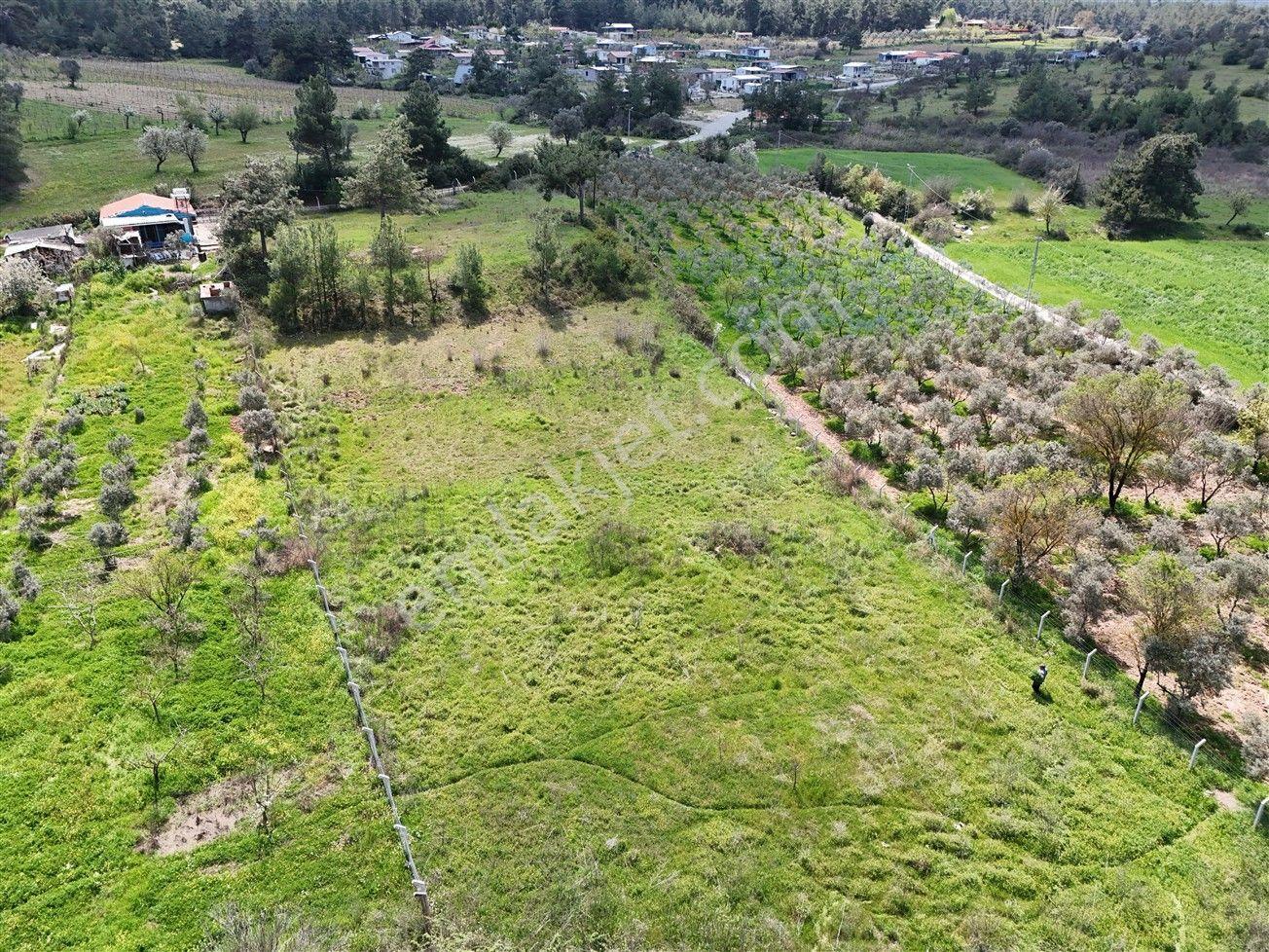 Menderes Turyap'tan Yeniköy'de 5000m² Satılık Tek Tapu Tarla - Görsel 17