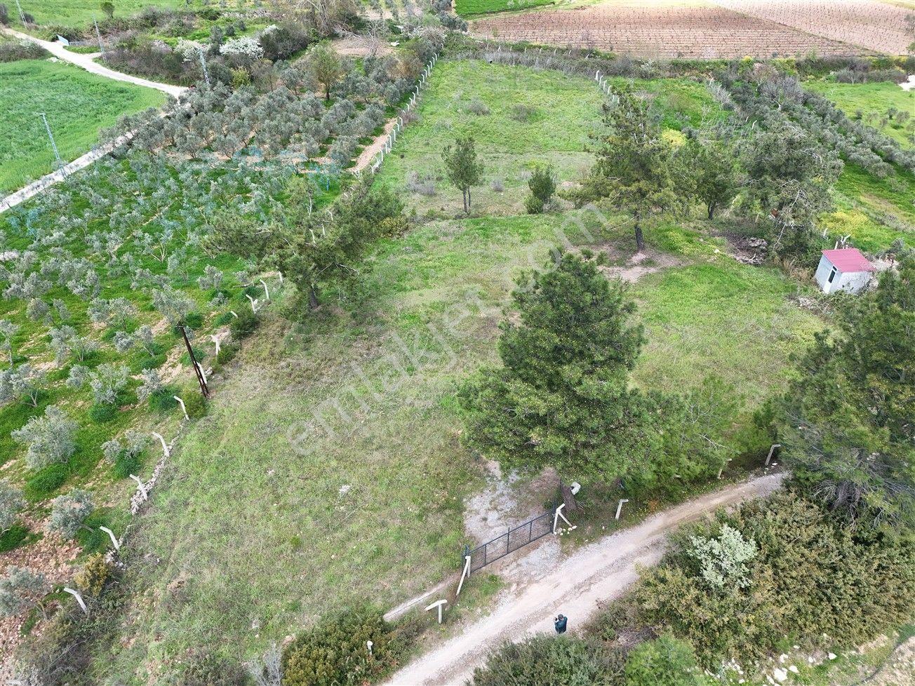 Menderes Turyap'tan Yeniköy'de 5000m² Satılık Tek Tapu Tarla - Görsel 2