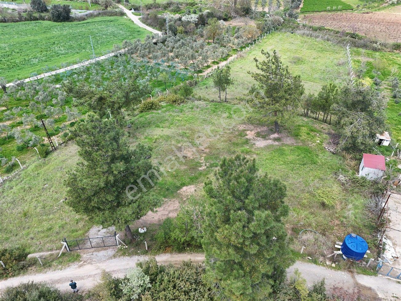 Menderes Turyap'tan Yeniköy'de 5000m² Satılık Tek Tapu Tarla - Görsel 5