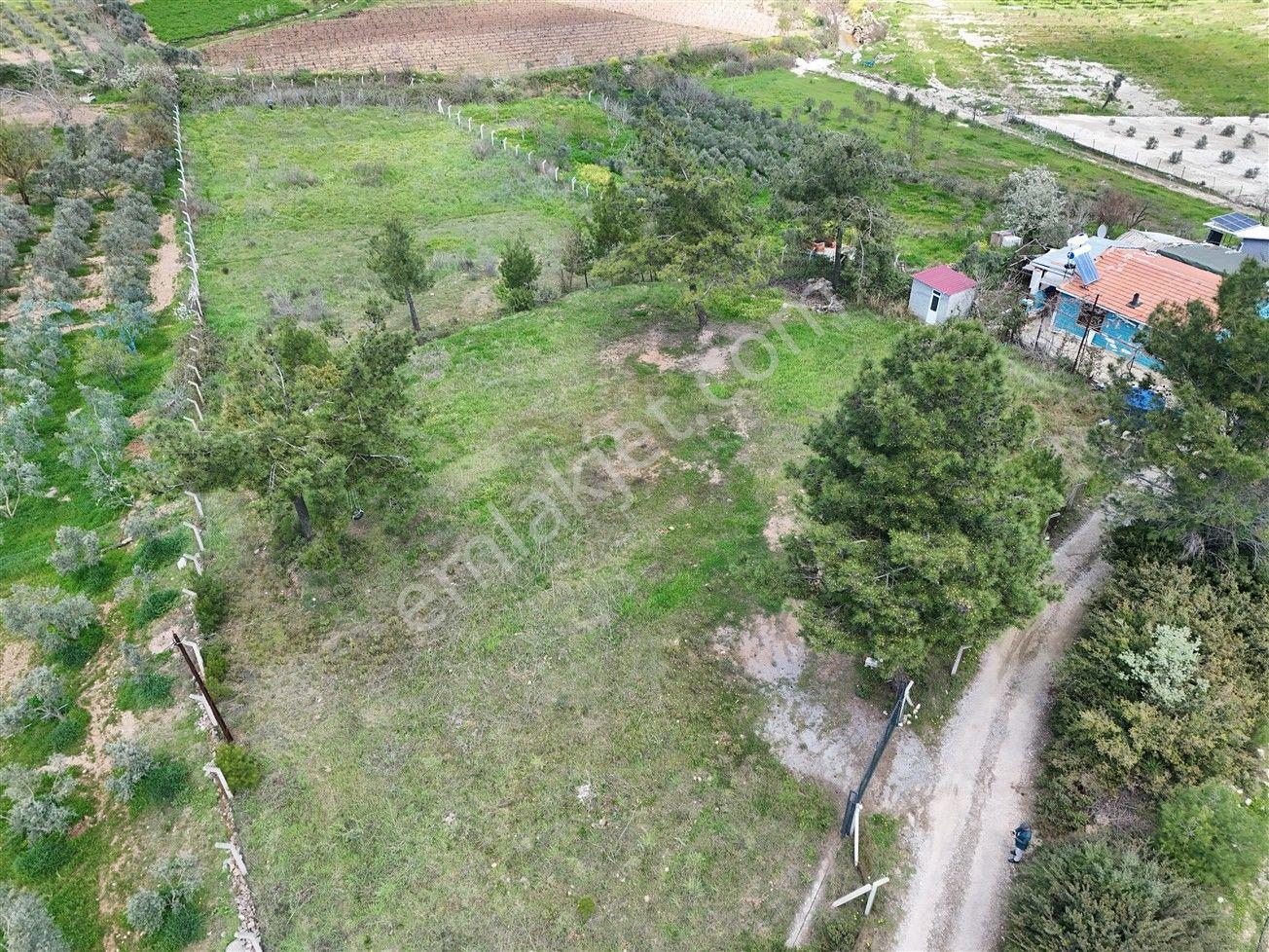 Menderes Turyap'tan Yeniköy'de 5000m² Satılık Tek Tapu Tarla - Görsel 24