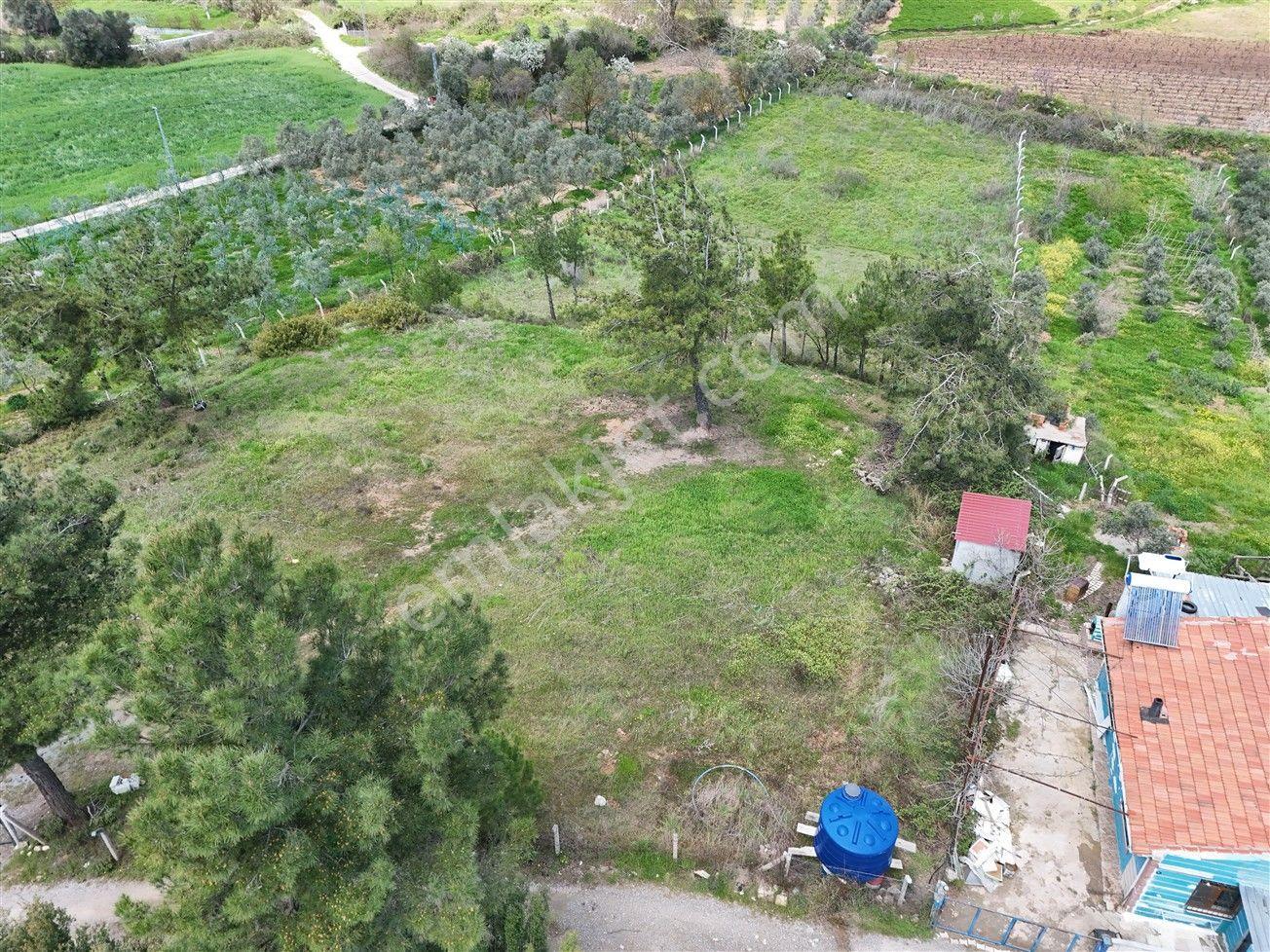 Menderes Turyap'tan Yeniköy'de 5000m² Satılık Tek Tapu Tarla - Görsel 15