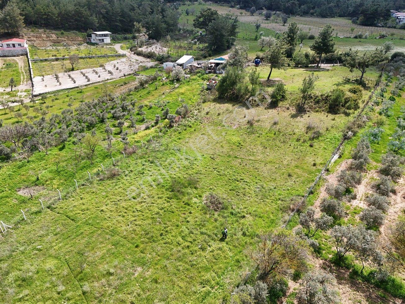 Menderes Turyap'tan Yeniköy'de 5000m² Satılık Tek Tapu Tarla - Görsel 14