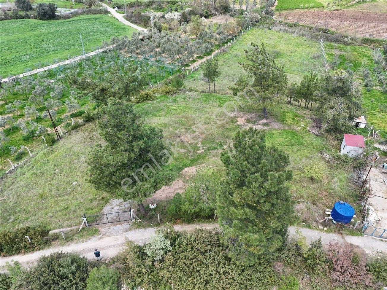Menderes Turyap'tan Yeniköy'de 5000m² Satılık Tek Tapu Tarla - Görsel 26