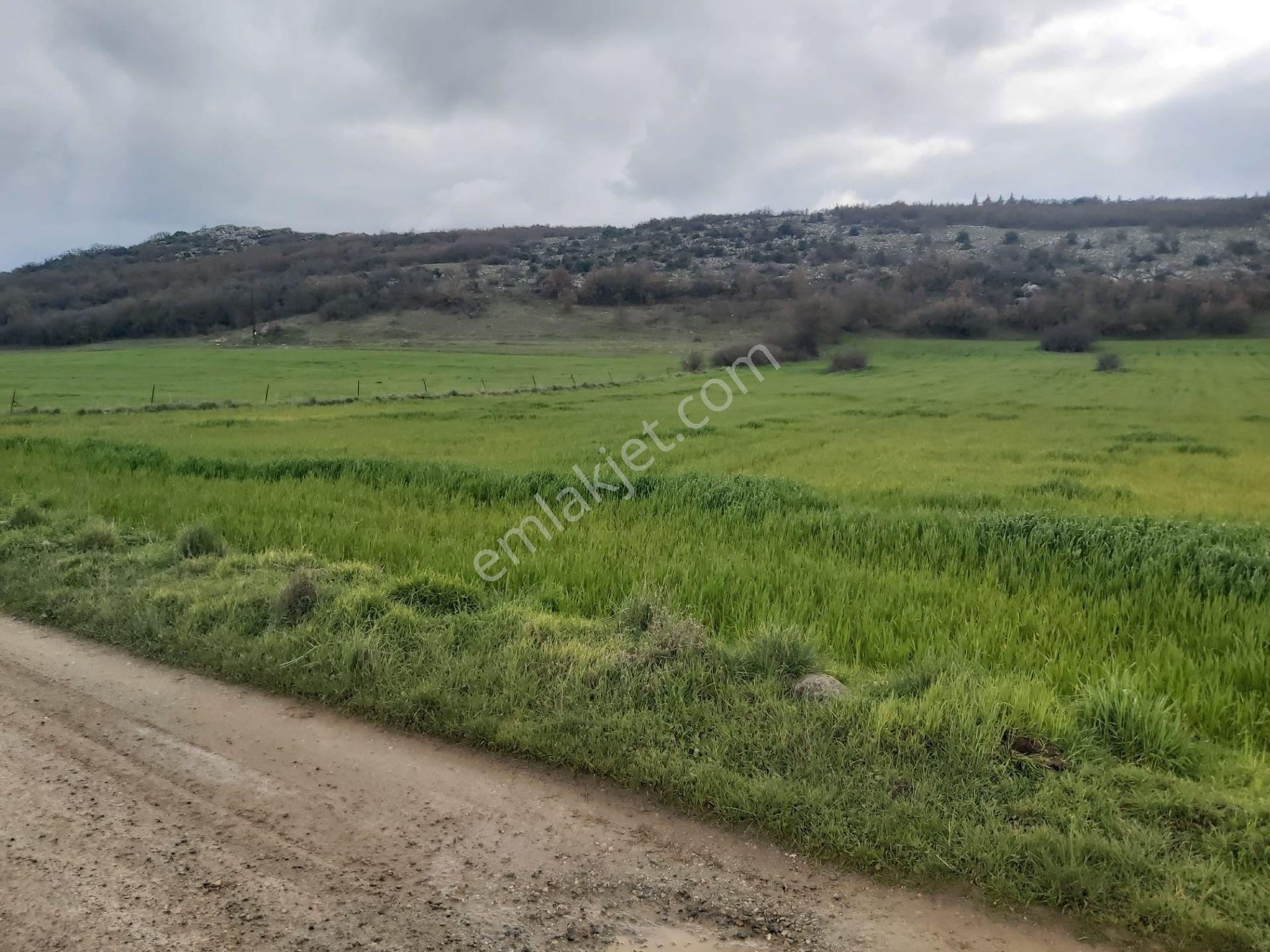 Balıkesir Karesi Aktarma Mahallesi 13.003 M2 Satılık Tarla - Görsel 8