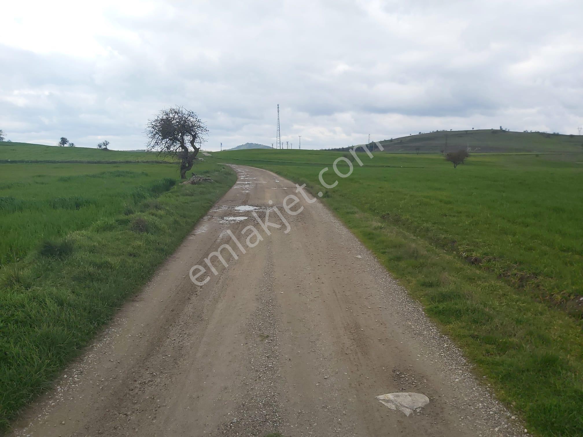 Balıkesir Karesi Aktarma Mahallesi 13.003 M2 Satılık Tarla - Görsel 7