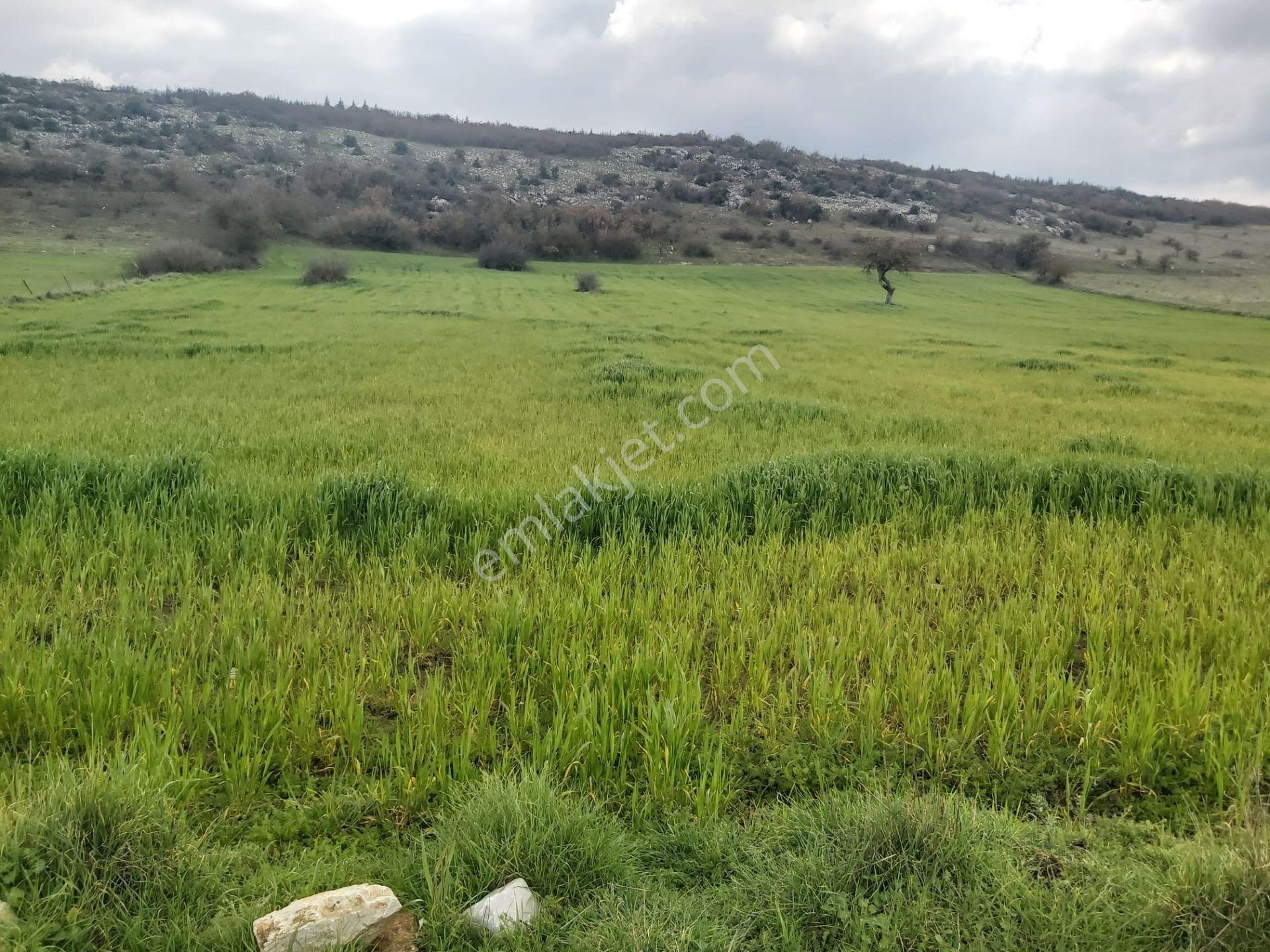 Balıkesir Karesi Aktarma Mahallesi 13.003 M2 Satılık Tarla - Görsel 9