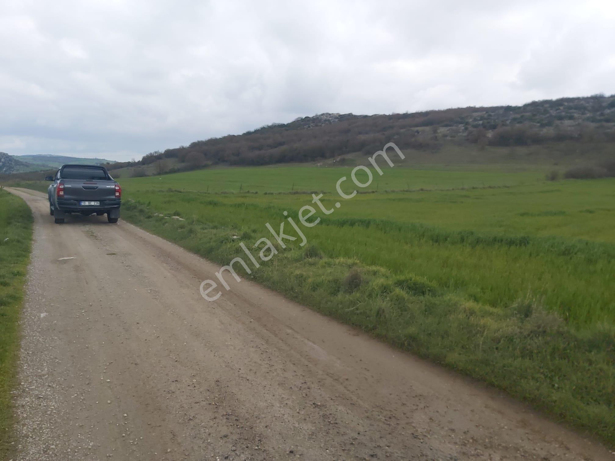 Balıkesir Karesi Aktarma Mahallesi 13.003 M2 Satılık Tarla - Görsel 10