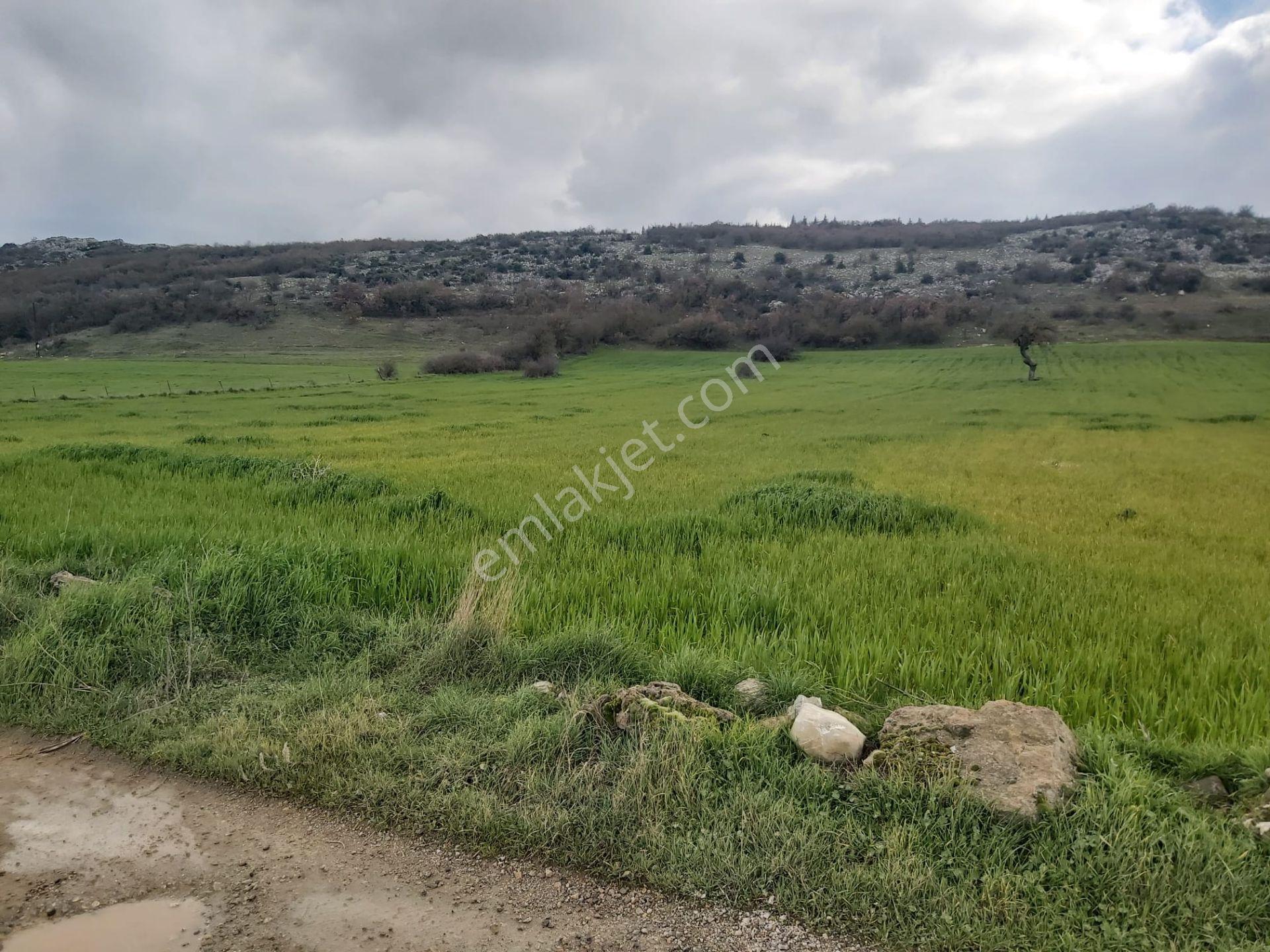 Balıkesir Karesi Aktarma Mahallesi 13.003 M2 Satılık Tarla - Görsel 16